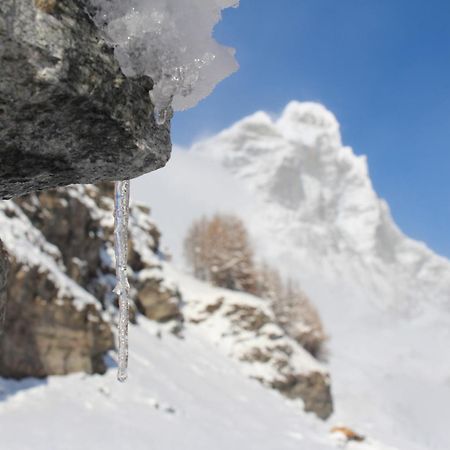 Hotel Miravidi A Cervinia Breuil-Cervinia Exteriör bild